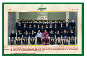 Class VI B