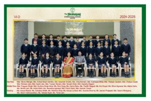 Class VI D