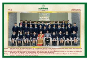 Class VI D
