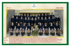 VII B